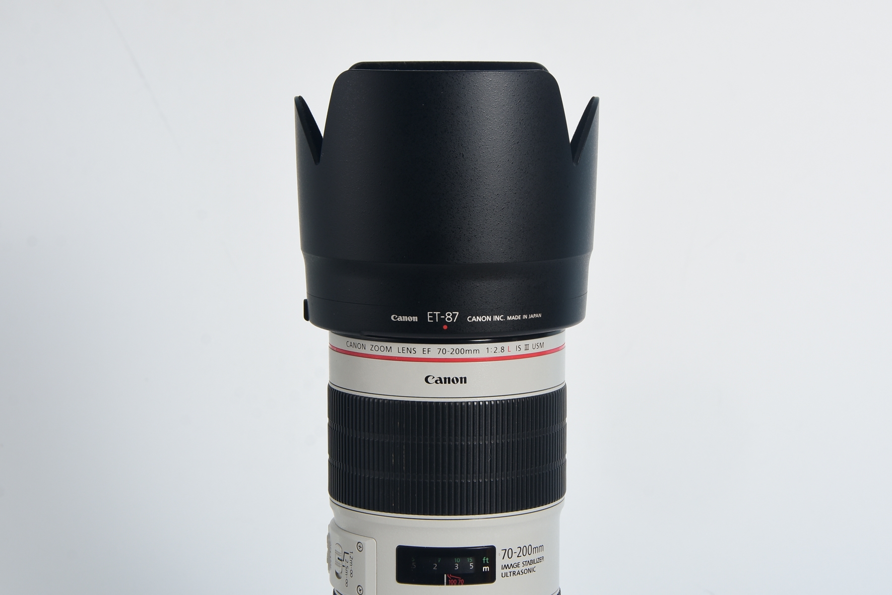 EF 70-200 (5)