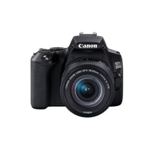 CANON EOS 250D + EF-S 18-55 IS STM