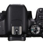 canoneos800dkit1855isstm 2