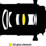 nikon325406959nikon1745925933