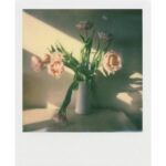 polaroidoriginalsfilmitypebarvni1