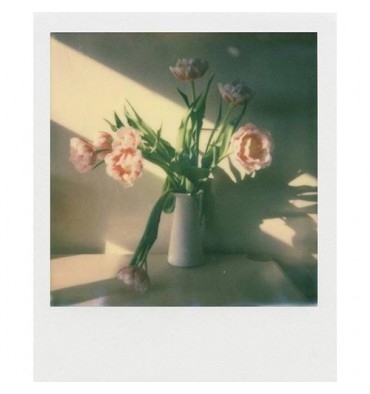 polaroidoriginalsfilmitypebarvni1